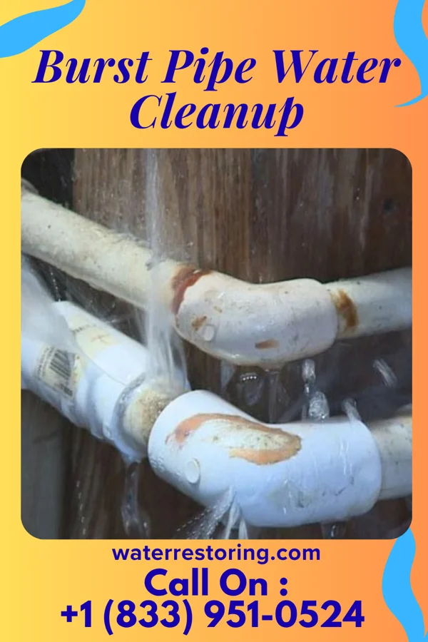 Burst Pipe Water Cleanup in Nazareth, PA