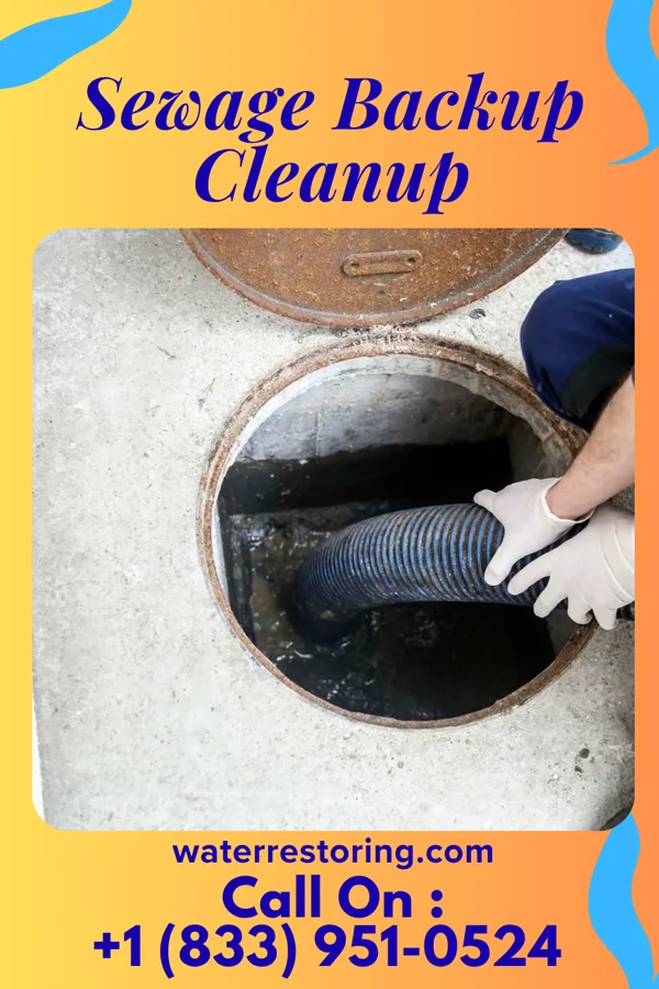 Sewage Backup Cleanup in Nazareth, PA